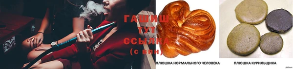 гидра Алзамай