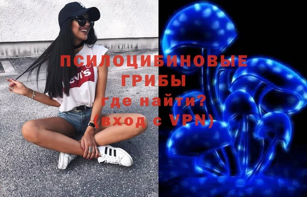 прущие крисы Пересвет