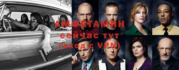метадон Алексин