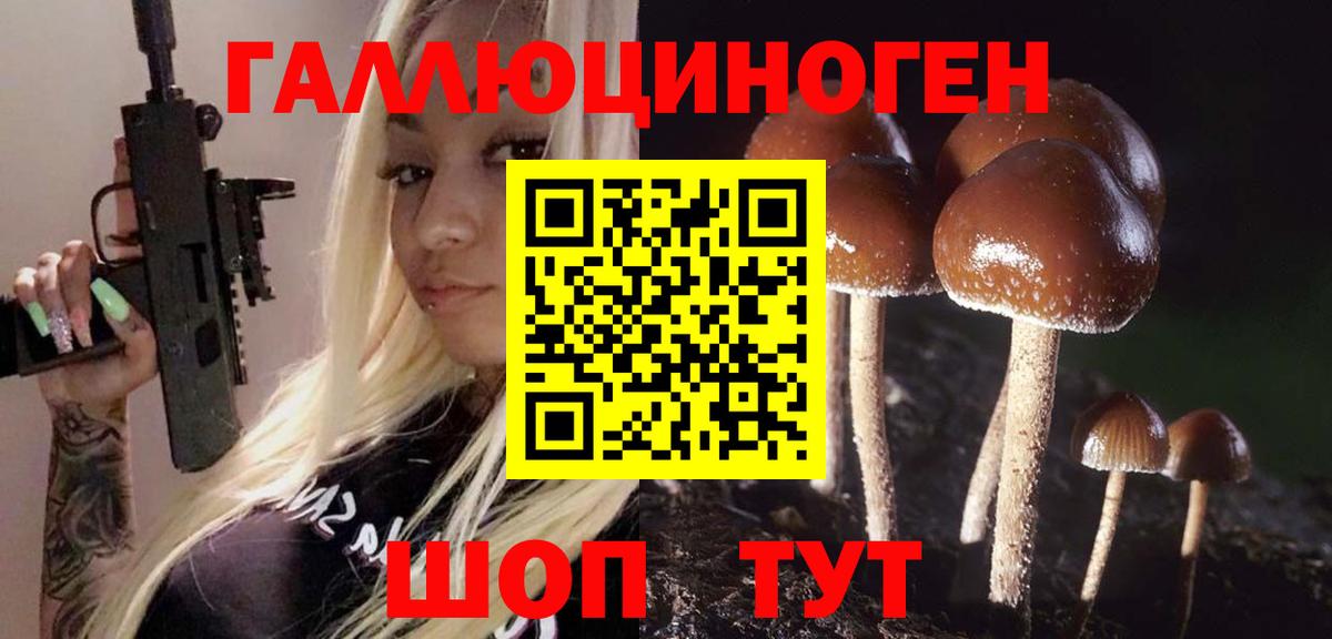 Псилоцибиновые грибы GOLDEN TEACHER  Вход с VPN  Псилоцибиновые грибы Psilocybine cubensis  Санкт-Петербург 
