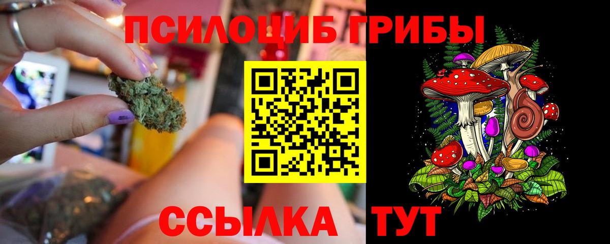 Псилоцибиновые грибы MAGIC MUSHROOMS Санкт-Петербург